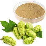 Xanthohumol Hops Extract  pictures