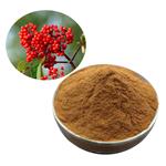 Sanmbucus williamsii Hance P.E; Elderberry pure extract