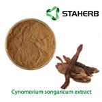 Cynomorium songaricum extract