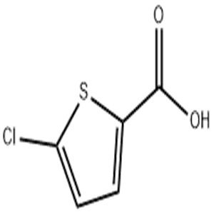 5-chlorothiophene-2-carboxylic ACID