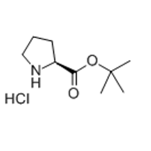 tert-Butyl L-prolinate hydrochloride