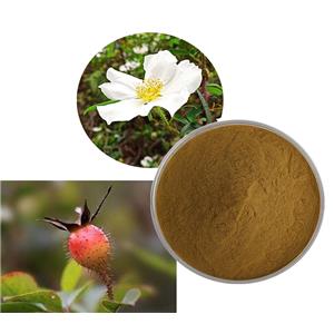 Cherokee Rose extract