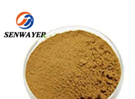 African Mango Seed Extract