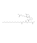 Pal-Tetrapeptide-7 ;Pal-Tetrapeptide-3