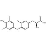 Triiodothyronine/REVERSE T3 pictures