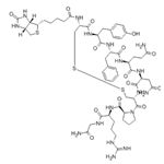 BIOTINYL-CYS-TYR-PHE-GLN-ASN-CYS-PRO-ARG-GLY-NH2 pictures