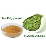 tea polypenol pictures