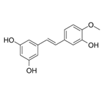 Rhapontigenin  pictures