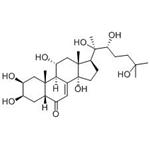 turkesterone pictures