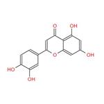 Luteolin; Peanut shell extract