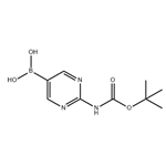 [2-[(tert-Butoxycarbonyl)amino]pyrimidin-5-yl]boronic acid pictures