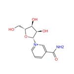 Nicotinamide riboside