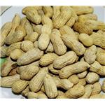 Luteolin; Peanut shell extract