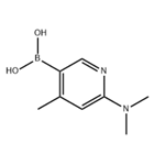 6-dimethylamino-4-methyl-pyridineboronic acid pictures