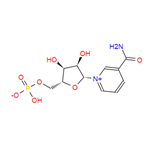 Beta-Nicotinamide Mononucleotide（NMN）