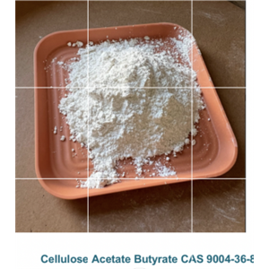 Cellulose Acetate Butyrate 