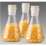 Phenol Formaldehyde Resin