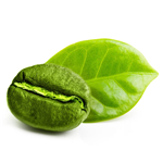 Chlorogenic acid; Green coffee bean extract