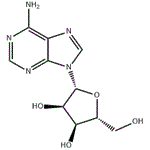 Adenosine