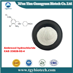 ambroxol hydrochloride pictures