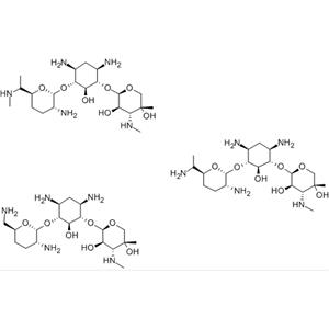 gentamicin