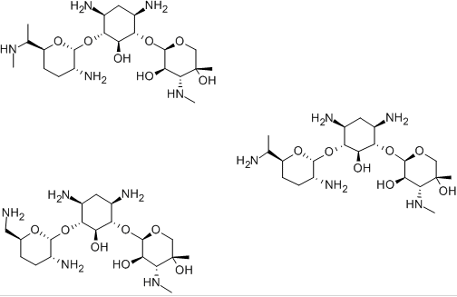 gentamicin