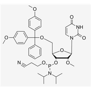 2'-OMe-U CE Phosphoramidite