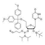 5'-O-DMT-2'-O-TBDMS-U-CE pictures