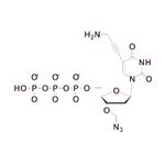 5-Propargylamino-3′-Azidomethyl-dUTP pictures