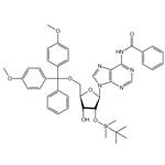 5’-O-DMT-2’-O-TBDMS-N6-Acetyl-Adenosine pictures