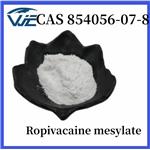 Ropivacaine mesylate