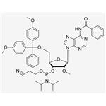 2'-OMe-Bz-A CE Phosphoramidite