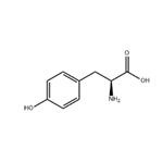 L-Tyrosine