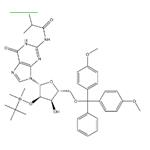 5’-O-DMT-2’-O-TBDMS-N2-Isobutyryl-Guanosine