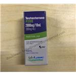 Testosterone Propionate