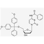 5'-O-DMT-2'-O-Me-N4-Bz-Cytidine