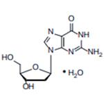2'-DeoxyGuanosine Monohydrate(2'-dG H2O)