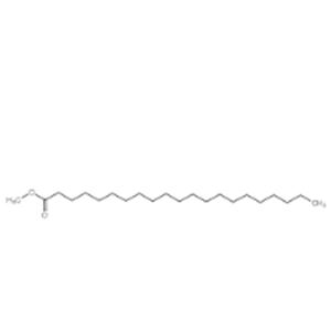 Heneicosanoic Acid methyl ester