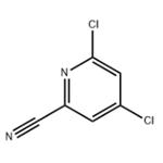 4,6-Dichloropicolinonitrile pictures