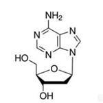 2′-Deoxyadenosine