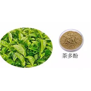 Tea polyphenol