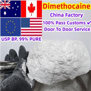 Dimethocaine Hydrochloride