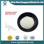 Ciprofloxacin hydrochloride;Ciprofloxacin hcl pictures