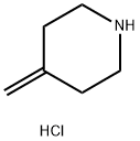 4-Methylenepiperidine HCl