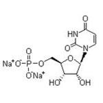 5'-UMP disodium salt