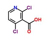 2,4-Dichloronicotinic acid