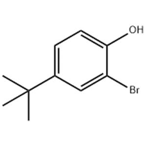 2-Bromo-4-tert-butylphenol