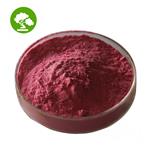 Cranberry Extract pictures