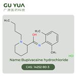 Bupivacaine hydrochloride