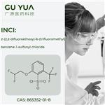 2-(2,2-difluoroethoxy)-6-(trifluoromethyl)benzene-1-sulfonyl chloride pictures